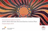 PwC Australia & PwC’s Indigenous Consulting 2019-2023 ...€¦ · PwC’s and PIC’s Elevate RAP is guided by the purposes and principles of the Declaration Feedback We welcome