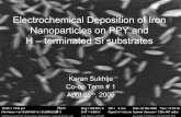 Electrochemical Deposition of Iron Nanoparticles on PPY ...leung.uwaterloo.ca/Group Meetings/2005/Iron Nanoparticles - Karan.… · Co-op Term # 1 April 28th, 2005. Presentation Outline