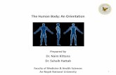 The Human Body: An Orientation - An-Najah Staff · 2015-08-29 · The Human Body : An Orientation ... • Generally, all body cells are excitable to some extent. Dr. Naim Kittana,