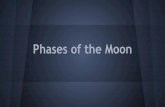 Phases of the Moon - mlynnbennionart.weebly.com€¦ · Phases of the Moon. Overview: In Relation to the Sun: Review: Art Vocabulary-Radial Symmetry-Mandala-Repetition-Unity. Radial
