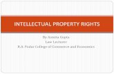 INTELLECTUAL PROPERTY RIGHTS - R.A.Podarrapodar.ac.in/pdf/elearn/PPT_Intellectual-property-rights.pdf · Trademark Procedure for registration Application to be made to the Office