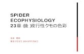 SPIDER ECOPHYSIOLOGY 23章（後）夜行性クモの色彩hi2h-ikd/tokyoss2/spiderecophysiology2302.pdf · SPIDER ECOPHYSIOLOGY 23章（後）夜行性クモの色彩 ... 23.3.2
