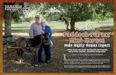 Paddock Farms’ Mini-Horses - Okeechobee the Magazine · • Brazilian Blowout • Waxing • Manicures • Nail Enhancements • Spa Pedicures Gift Certiﬁ cates Available Providing