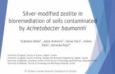 Silver-modified zeolite in bioremediation of soils contaminated by … 8 SCSSZ... · 2019-10-09 · Silver-modified zeolite in bioremediation of soils contaminated by Acinetobacter