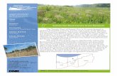 COUNTY Suman Fen Reed Canary Grass Removal · 2015-08-27 · The Tetrick Tract of Suman Fen is 23 -acres located in Jackson Township in Porter County and is part of the Moraine Nature