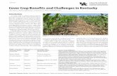 AGR-240: Cover Crop Benefits and Challenges in KentuckyBenefits provided by cover crops include soil health improvement, soil conserva-tion, nutrient release and capture, and weed