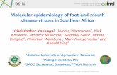 Molecular epidemiology of foot-and-mouth disease …Open Session of the EuFMD - Cascais –Portugal 26-28 October 2016 Molecular epidemiology of foot-and-mouth disease viruses in Southern