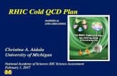 RHIC Cold QCD Plan - National Academiessites.nationalacademies.org/cs/groups/bpasite/documents/...RHIC Cold QCD Plan Christine A. Aidala University of Michigan National Academy of