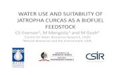 WATER USE AND SUITABILITY OF JATROPHA …...water-use of a range of measured vegetation types including Jatropha curcas (age 4 and 12 yrs), grassland and Eucalyptus plantations. 100