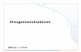 Segmentation - zoho.com · Zoho CRM Resources 4 Overview Customer segmentation is the process of categorizing ones customer base based ... can select modules like Products, courses,