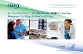An Introduction to the Medicare EHR Incentive Program for ... EHR...An Introduction to the Medicare EHR Incentive Program for Eligible Professionals 2Items This guide includes special