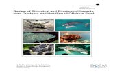 Review of Biological and Biophysical Impacts from Dredging ... reports/5268.pdf · 4.6.2 Potential Environmental Effects and Mitigation Methods for Sea Turtles from OCS Sand Dredging