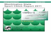 2011 Washington State Sport Catch Report€¦ · Table 14. 2011-2012 Sport Salmon Marine Catch, Area 6 ... Table 24. 2011-2012 Washington Sport Salmon Fishing, By Residence ... 1