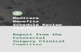 m.healthheroes.health.gov.aum.healthheroes.health.gov.au/.../$File/Colorectal-CRSCC-F…  · Web viewMedicare Benefits Schedule Review Taskforce. Report from the Colorectal Surgery