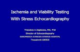 Ischemia and Viability Testing With Stress Echocardiography · Myocardial Response to Dobutamine Infusion. ... Stress Echocardiography for risk assessment ... No Viability: Stress