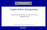 Lignin-Fibre CompositesDepartment/deptdocs... · Lignin Fibre Composites Page 3 Richard Gosselink RRB4 Rotterdam 2008 The focus of this report is the potential to use lignin fibre