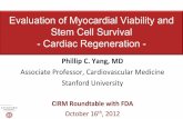 Evaluation of Myocardial Viability and Stem Cell Survival ...€¦ · I. Myocardial Viability • Coronary artery disease: #1 killer in the US –1.1 million new or recurrent MI and