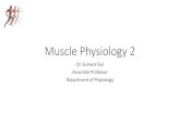 Muscle Physiology 2 - WordPress.com · Muscle Physiology 2 Dr. Sumera Gul Associate Professor Department of Physiology. Learning Objectives: At the end of the lecture the students