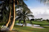 April Tod returns to a much-loved Barbados, fearful of ... · APES HILL. Apes Hill Club is a mere 10 minutes drive from Royal Westmoreland, and has a stunning Par 72 course, which