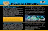˜e Rosalia Sentinel - NEWESD 101...Rosalia School District No. 320 916 South Josephine Avenue Rosalia, Washington 99170-9550 Non-Profit Org. U.S. Postage PAID Rosalia, WA Permit No.