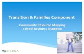 Transition & Families Component · Reminder of the CSESA Process We’ve already assessed and started planning Now, it’s time for some training related to implementing interventions!