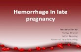Hemorrhage in late pregnancy - كلية الطب · 2019-08-10 · Antepartum hemorrhage •It is defined as bleeding from or into the genital tract after the 28th week /22nd week