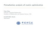 Perturbation analysis of matrix optimization · 2019-08-13 · Perturbation analysis of matrix optimization ... a symmetric function, i.e., for any u2Rn and any n npermutation matrix
