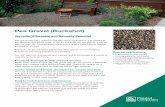 Pea Gravel sheet - Plaisted Companiesplaistedcompanies.com/wp-content/uploads/2018/07/Plaisted-Pea-Gr… · Pea rock can also be easily paired with other stones and landscaping features