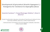 Development of groundnut (Arachis hypogaea L.) transgenics for …ksiconnect.icrisat.org/wp-content/uploads/2014/03/... · 2014-03-11 · Development of groundnut (Arachis hypogaea