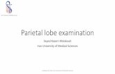 Parietal lobe examinationandishesr.com/wp-content/uploads/parietal-lobe-exam.pdf · •Acalculia (lt) •Agraphestesia •Agraphia (lt) •Apraxia, dressing •Constructional apraxia