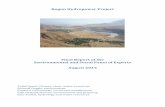 Final Report of the Environmental and Social Panel of Experts … · 2019-09-01 · Rogun Hydropower Project – Final Report of the Environmental and Social Panel of Experts 3 2