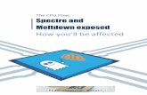 The CPU Flaw: Spectre and Meltdown Exposedflagcomputerrepair.co.uk/wp-content/uploads/2018/01/Spectre-Meltd… · Spectre and Meltdown exposed: How you’ll be affected 03 . Imagine