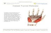 Carpal Tunnel Release...Carpal tunnel release is a surgical procedure that reduces the pressure on the median nerve to alleviate symptoms. This content is for informational purposes