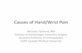 Causes of Hand Pain - SUNY Upstate Medical University€¦ · •“Wrist extensor” tendinitis •One of the most common causes of tendinopathy (“diseased” tendon) •Leads