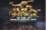 Shaolin Martial Arts Academy€¦ · Shaolin collective Kungfu Fan . 1 S bow t r er Ilecti e broom Kungfu weapon pentornnance; three—joftt club9 broad . Shaolin HardQigong,sheadäbreaking