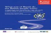 What sort of Brexit do the British people want? · UK public’s preferences for a Brexit outcome. We ... united-kingdom-and-the-european-union 3 We have also published an accompanying