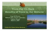 Trees Pay Us Back -- Benefits of Trees in the Midwest · Assessing Street Tree Populations STRATUM assesses: 9Structure 9Function Energy Air pollution Stormwater Carbon Property Value