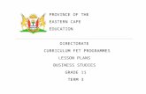 CLUSTER C - Curriculumeccurriculum.co.za/BusinessStudies/24.52-T3 BUS STU… · Web viewLESSON PLANS BUSINESS STUDIES GRADE 11 TERM 3 FOREWORD The following Grade 10, 11 and 12 Lesson
