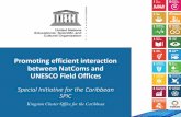 Promoting efficient interaction between NatComs and UNESCO ... · The UNESCO Special Initiative for the Caribbean represents the Organization’s contribution to the United Nations
