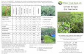 Cover Crops for Gardens · 2016-02-02 · over crops help to reduce erosion and compaction, and increase water permeation in the garden. They also hold minerals normally leached from