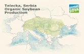Telecka, Serbia Organic Soybean Production · Varieties –Institute of Field and Vegetable Crops, Novi Sad Demonstration Platform Organic Soybean Production Telečka Total acreage