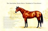 The Australian Stock Horse Standard of Excellence...The Australian Stock Horse Standard of Excellence • Head alert and intelligent with broad forehead, full, well-set eyes, wide