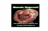 Precautions and Disclaimer - Physical Fitnessfitwise.com/muscleexp.pdfthrough high volume training. Super stars such as Arnold Schwarzenegger, Lou Ferrigno, Sergio Oliva, Dave Draper,