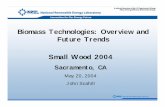 Biomass Technologies: Overview and Future Trends Small ... · biomass Yield Value 50 wt% conversion biomass to syngas 1. 10,000 ft3 syngas/bbl syncrude (Hydrocarbon Processing Feb