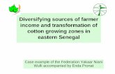 Diversifying sources of farmer income and transformation ... · market supply: sesame is the least problematic, followed by be SAP, cotton, peanut. Fonio is questionable. Millet,