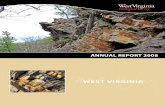 ANNUAL REPORT 2008 · information in the nation. Basic coal analyses, washability data and petrography characteristics for the State’s coal beds are available by request and trace