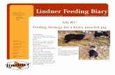 Lindner Feeding Diary · Weight/Age: ~ 8 weeks (Weight does not matter at this time in the feeding stage to us.) Feed: Self Feed – 611 (She is eating about 2.5-3 pounds a day) We
