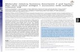 Molecular mimicry between Anoctamin 2 and Epstein-Barr ... · activity against Anoctamin 2 (ANO2) in an antibody screening of potential MS autoantigens with protein fragments representing