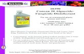 November 14, 2013 10390 Consan 20 Algaecide- Fungicide ... · 10390 Consan 20 Algaecide-Fungicide-Disinfectant For use on ornamental plants, grasses and trees 10390 Pint Size UPC