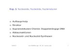 Kap. 9. Nucleoside, Nucleotide, Nucleinsäuren...J.-M. Lehn, Supramolecular Chemistry Concepts and Perspectives, VCH, Weinheim, 1995. 30.06.03 lcnv303k09aw.ppt - OC_III - nucleic acids